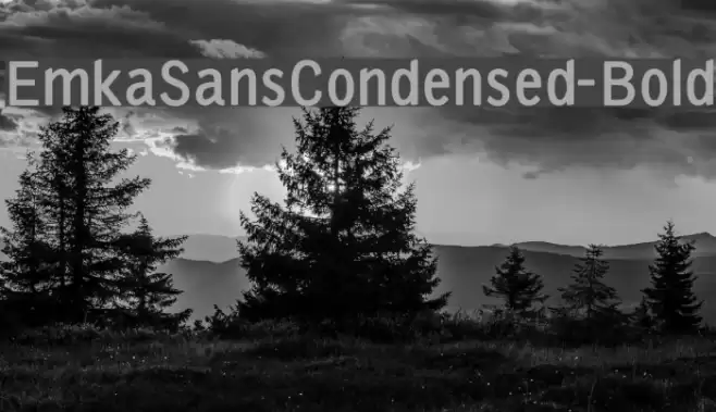 EmkaSansCondensed-Bold Font examples