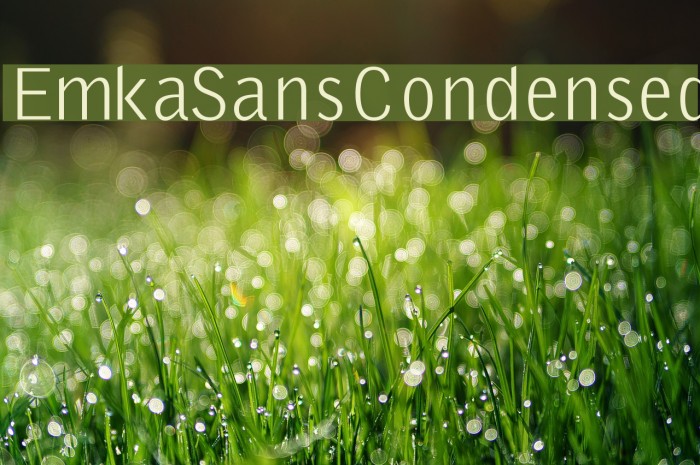 EmkaSansCondensed Font examples