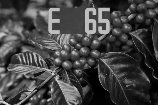 Emma    65 Font examples