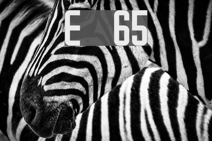Emma 65 Font examples