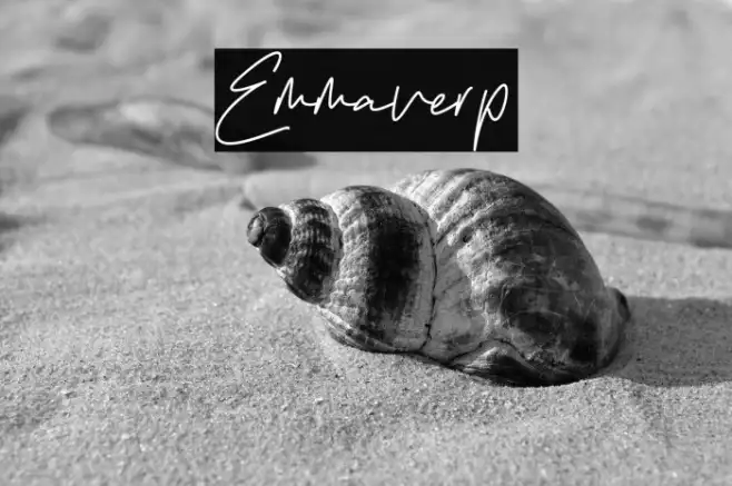 Emmaverp Example 2