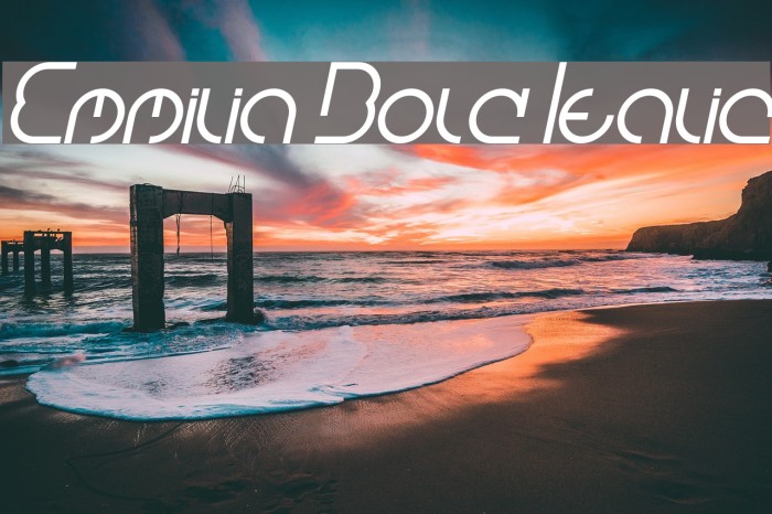 Emmilia Bold Italic Font examples