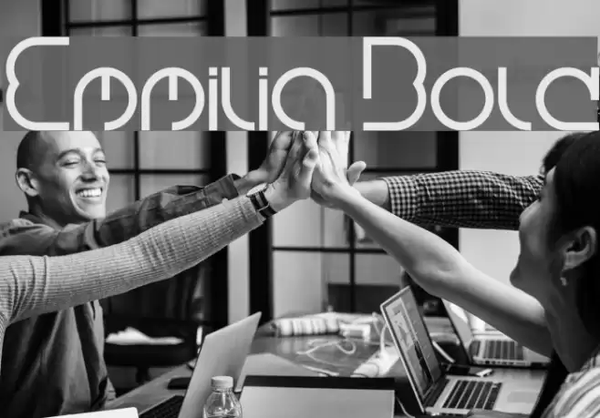 Emmilia Bold Font examples