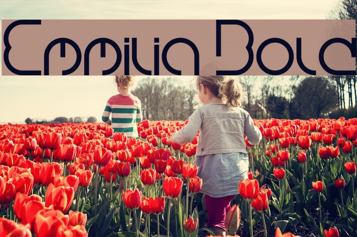 Emmilia Bold Example 2