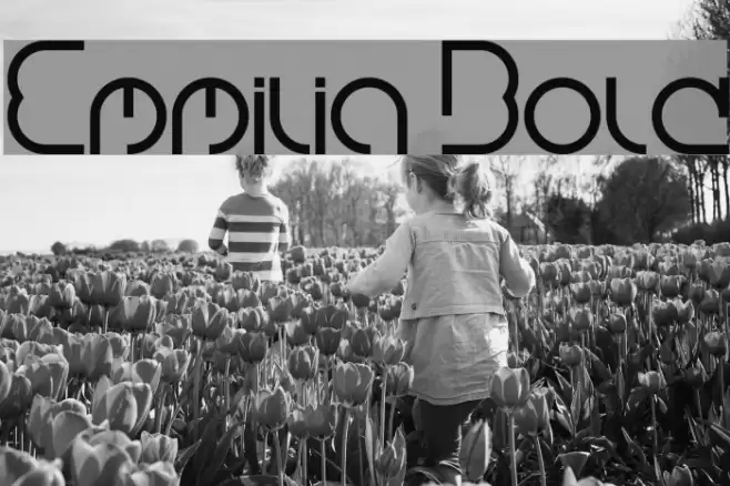 Emmilia Bold Font examples