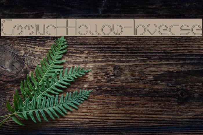 Emmilia-Hollow-Inverse Example 2