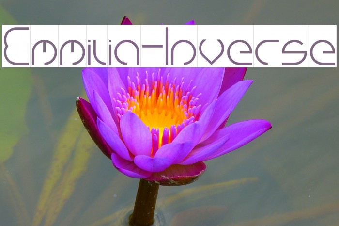 Emmilia-Inverse Font examples