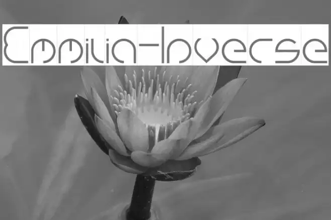 Emmilia-Inverse Example 2
