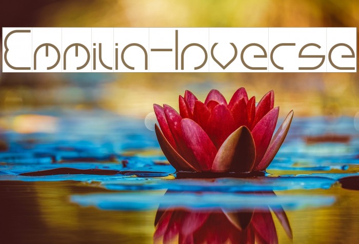 Emmilia-Inverse Font examples