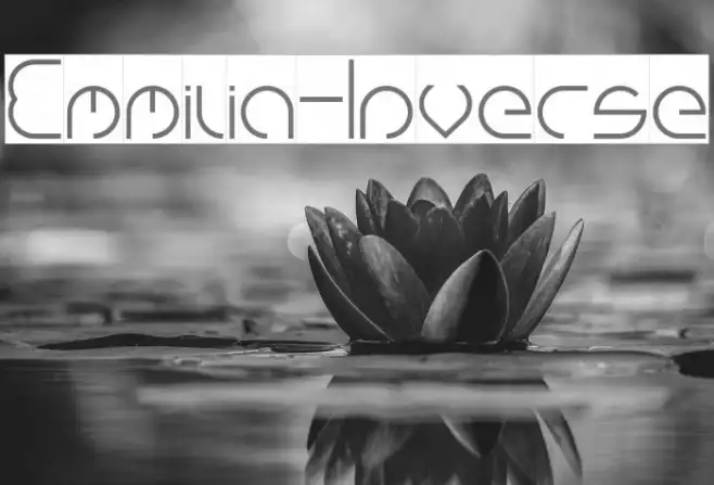 Emmilia-Inverse Example 3