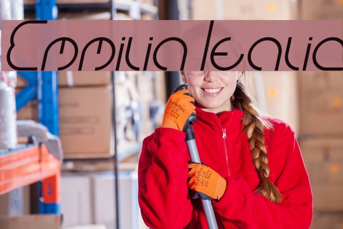 Emmilia Italic Font examples
