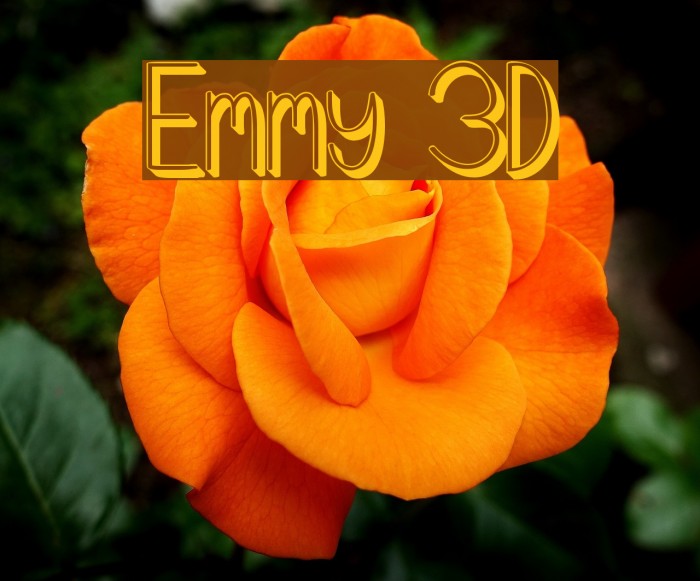 Emmy 3D Example 2