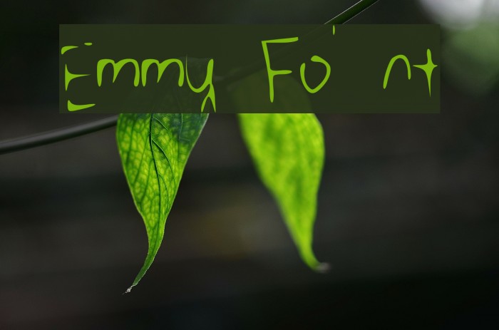 Emmy Font examples
