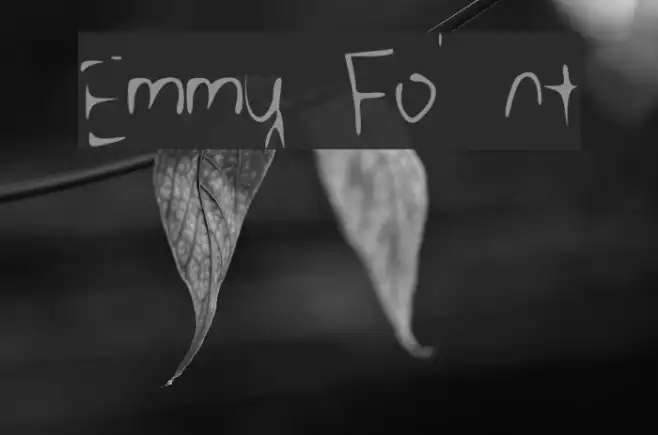 Emmy Example 1