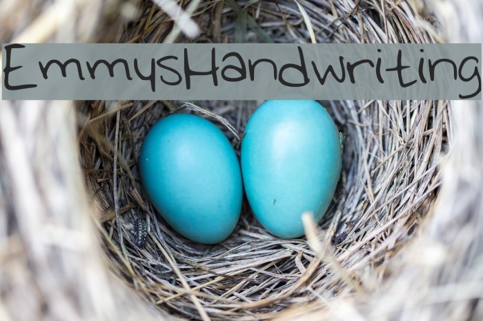 EmmysHandwriting Font examples