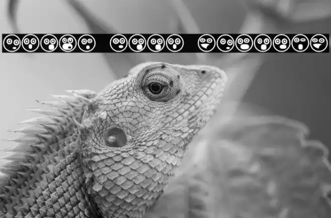 Emoji Boom Regular Font examples