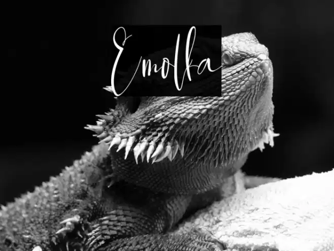 Emolka Font examples