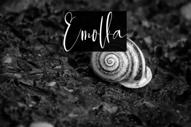 Emolka Font examples