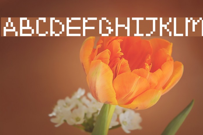 Emoticomic Regular Шрифта examples