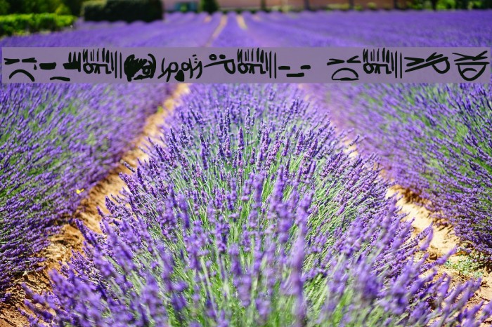 Emoticon Code Example 3