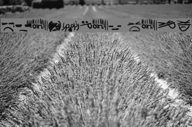 Emoticon Code Font examples