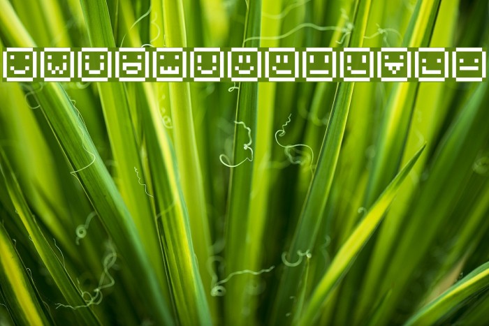 EmoticonesTityly Regular Font examples