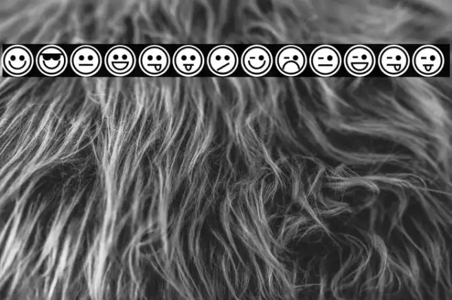 Emoticons Outline Example 2