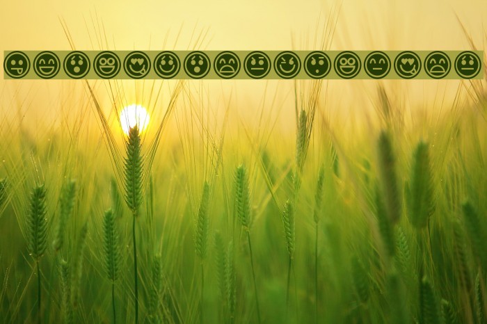 EmoticonsOutline Example 3