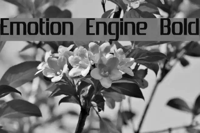 Emotion Engine Bold Font examples