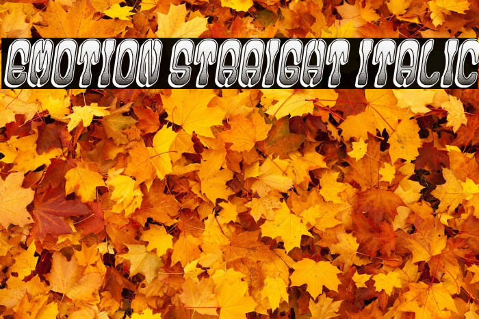 Emotion Straight Italic Example 1