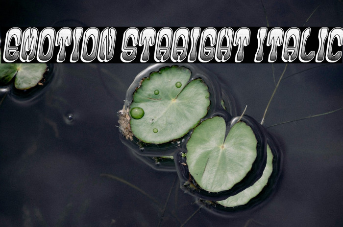 Emotion Straight Italic Example 3