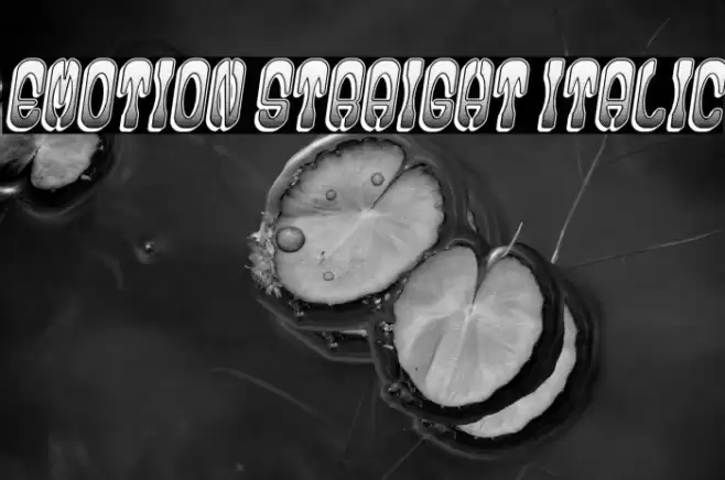 Emotion Straight Italic Font examples