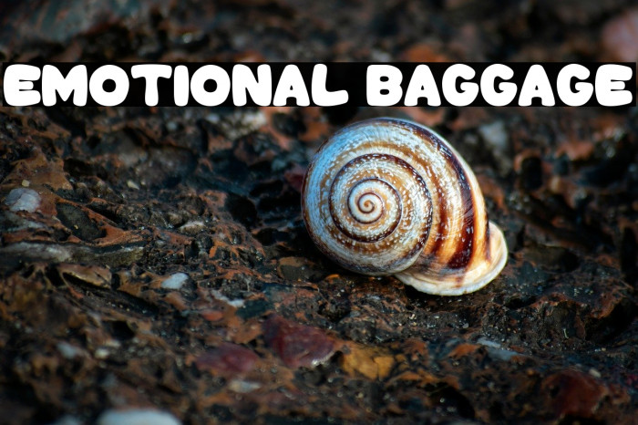 Emotional Baggage Example 1