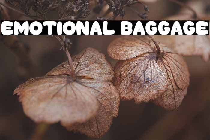 Emotional Baggage Example 2