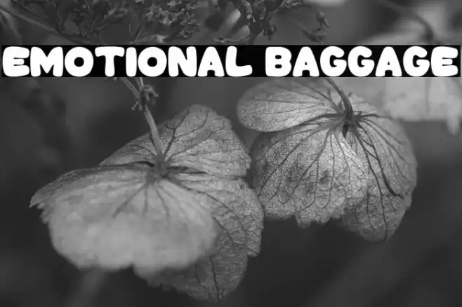 Emotional Baggage Font examples