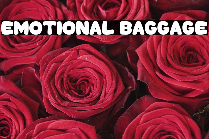 Emotional Baggage Example 3