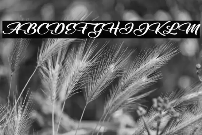 Emotional Rescue Font examples