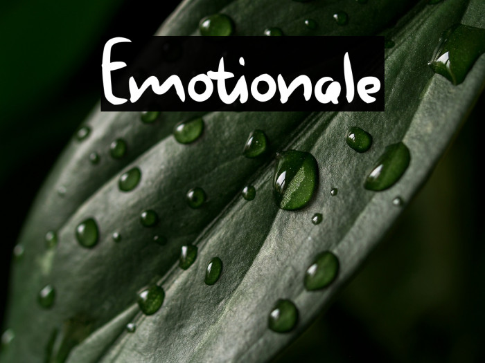 Emotionale Example 1