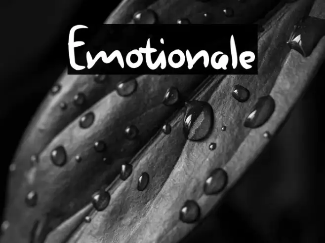 Emotionale Example 1