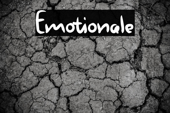 Emotionale Example 3