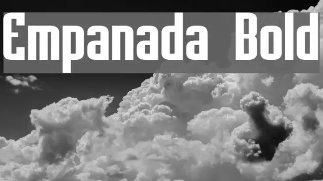 Empanada Bold Example 1