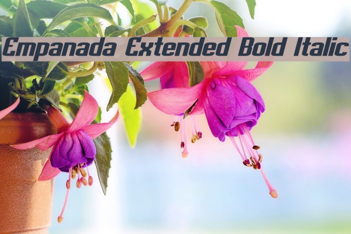 Empanada Extended Bold Italic Example 1