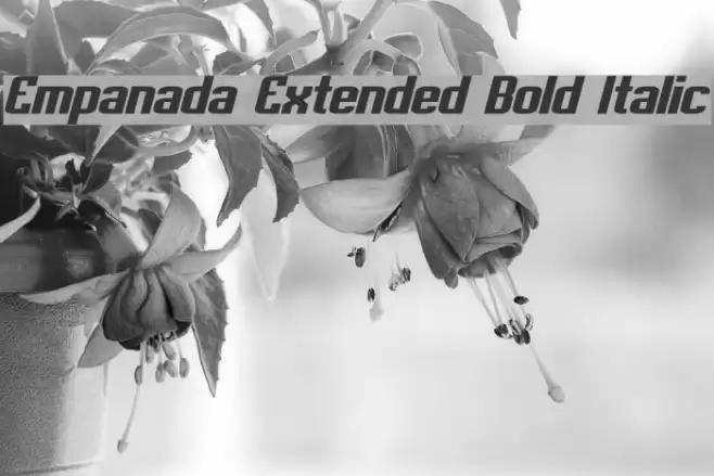 Empanada Extended Bold Italic Font examples