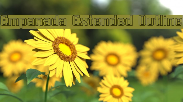 Empanada Extended Outline Font examples