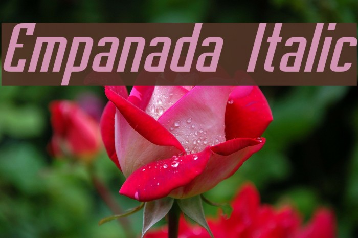 Empanada Italic Font examples