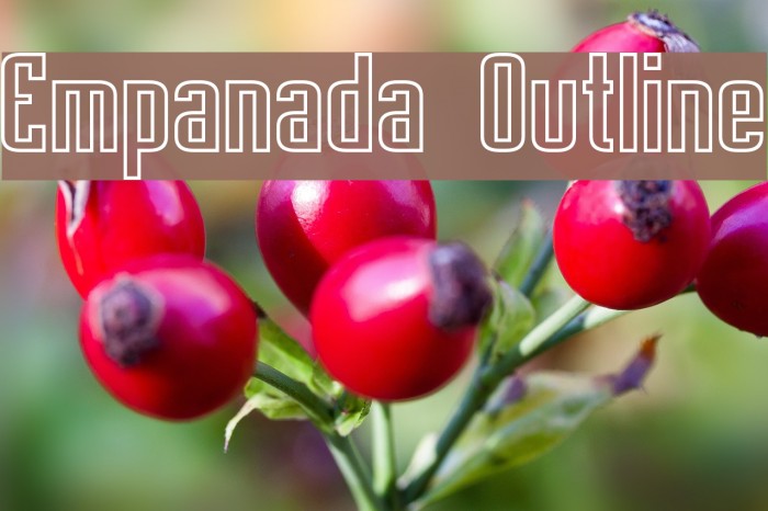 Empanada Outline Font examples