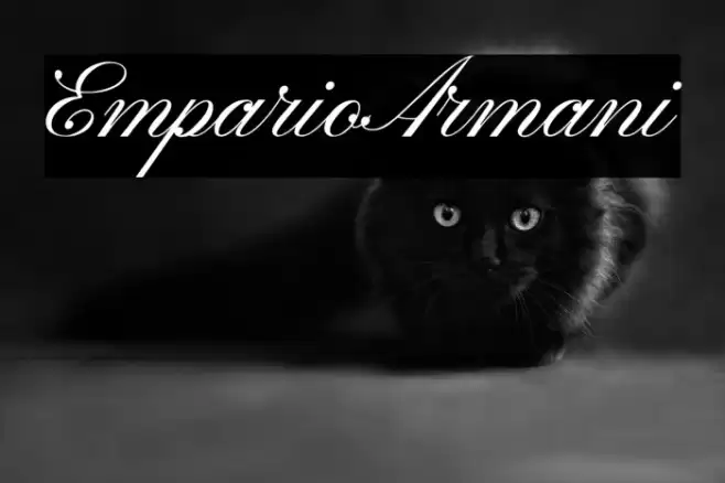 EmparioArmani Font examples