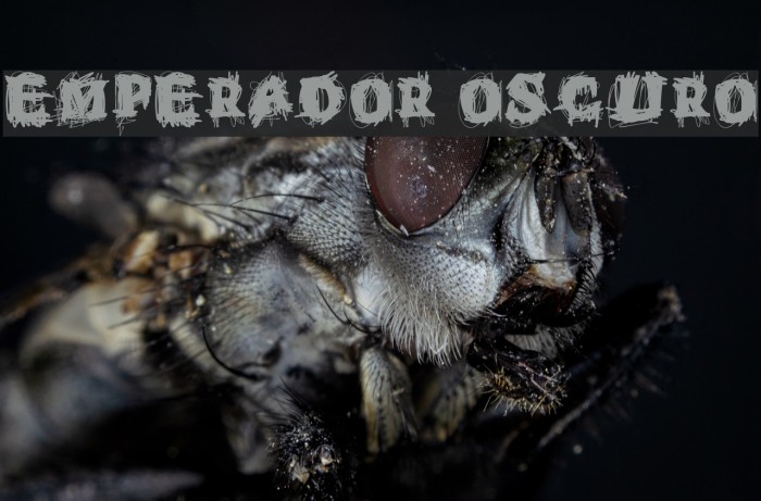 Emperador Oscuro Example 2