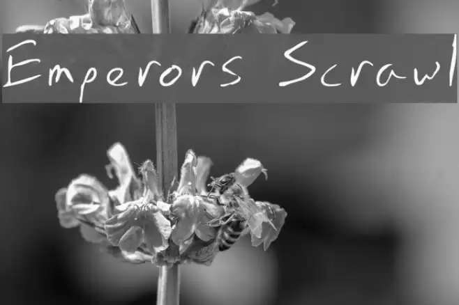 Emperors Scrawl フォント examples