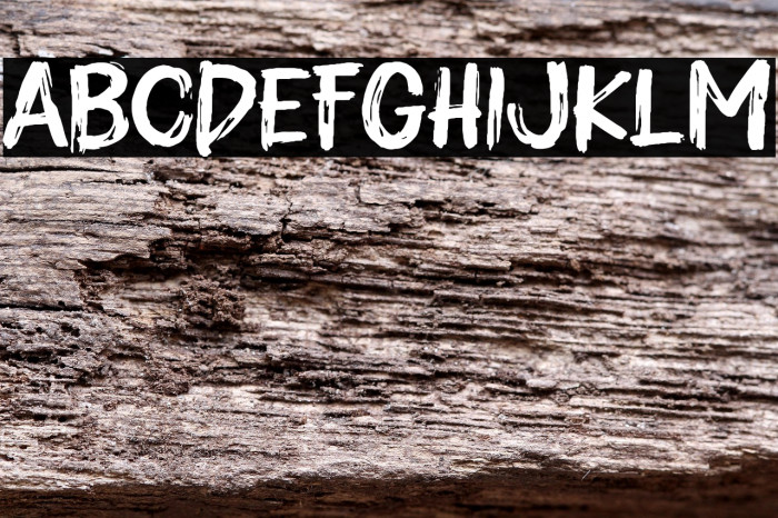 Empety House Example 2